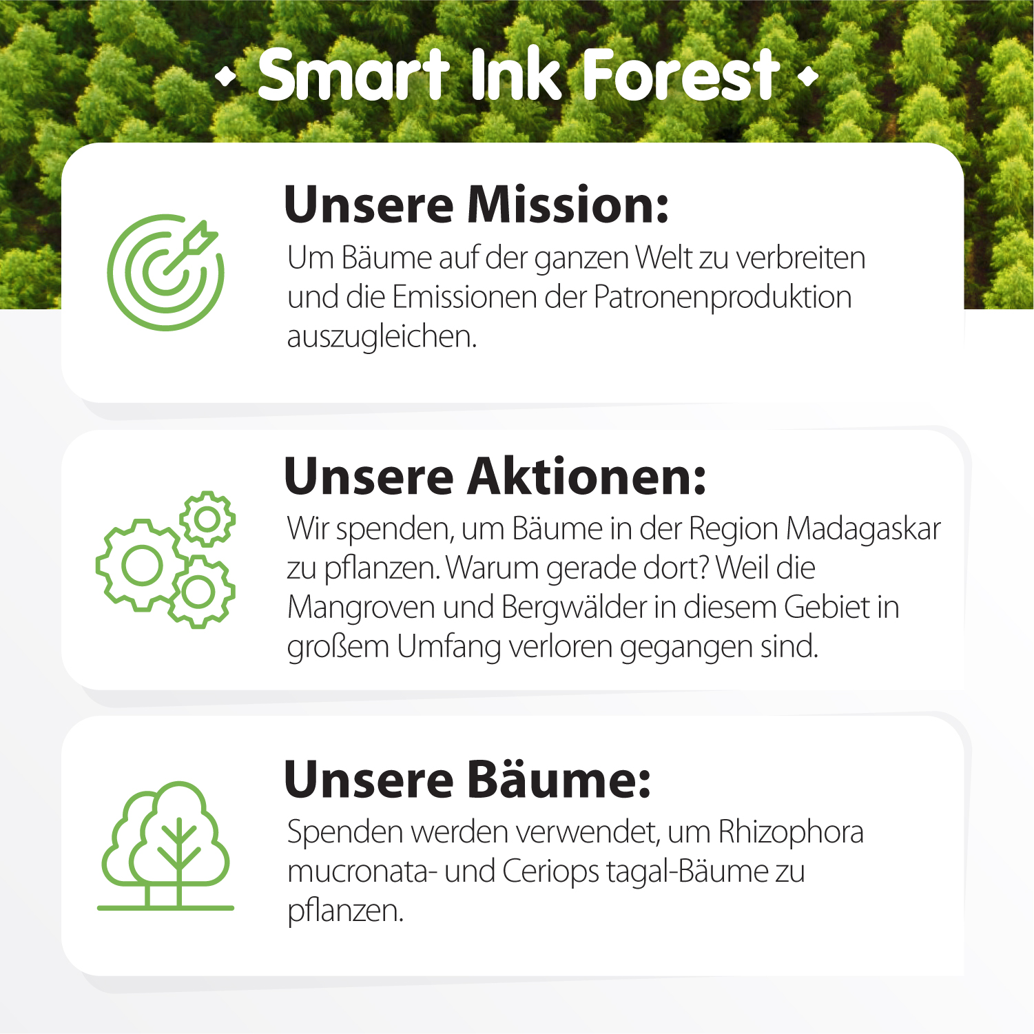 AMZ_FOREST_site_DE_Mob_5