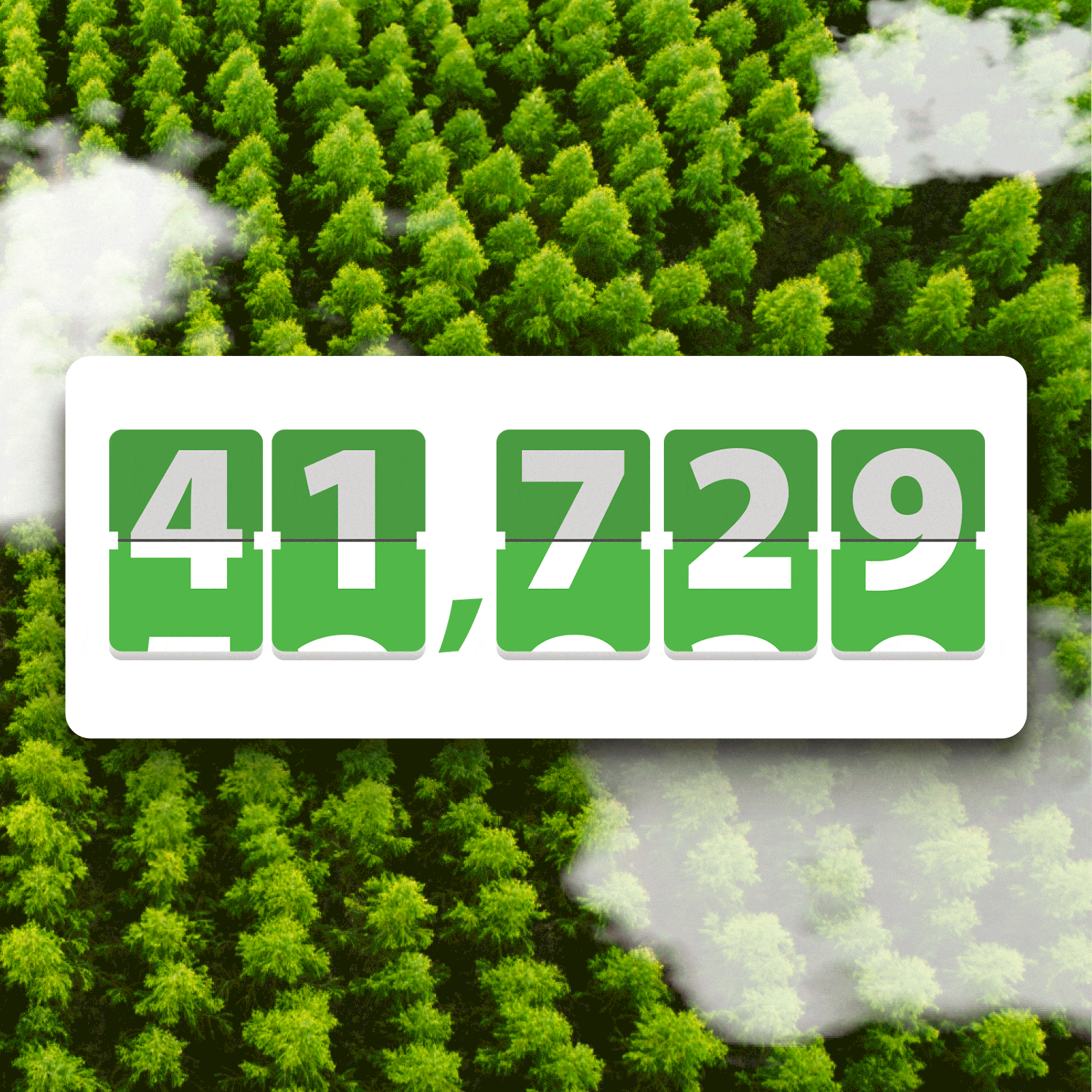 AMZ_Forest_Counter_banner_anime_GIF_18.496 (1)_2 (1) (1)