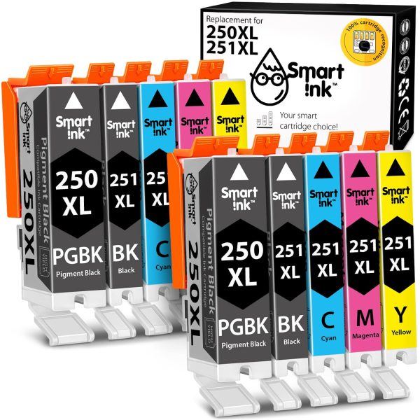 Compatible Ink Cartridge Replacement for Canon 250, 251 XL (10 pack), Smart Ink