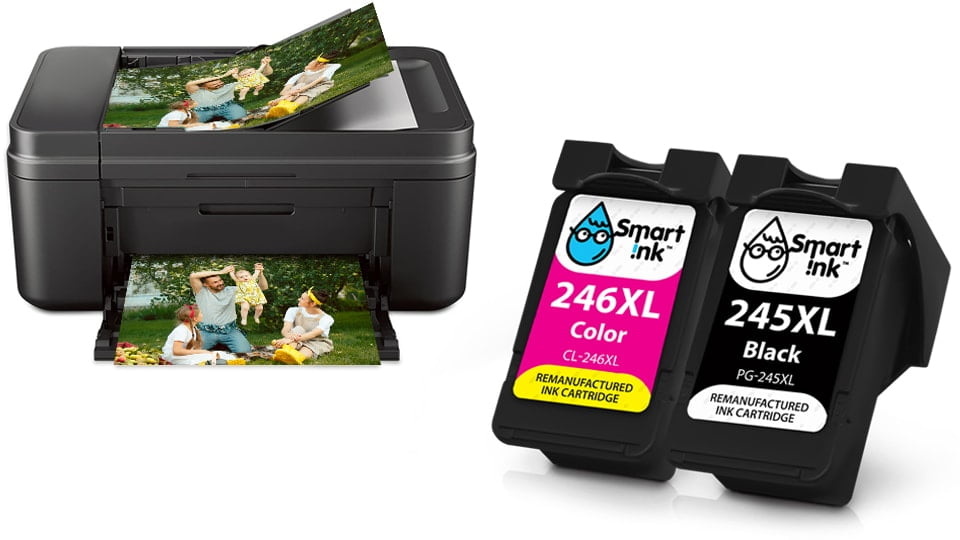 Canon MG2520 Color Photo Printer 